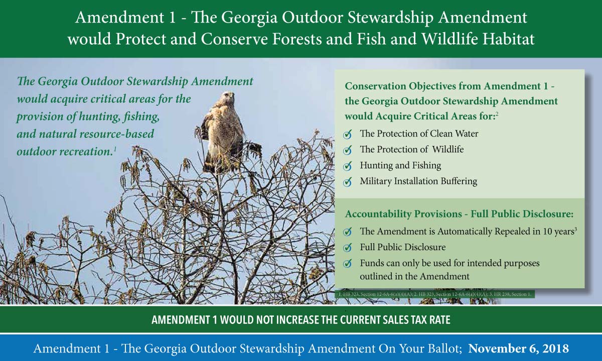 Wampold-Strategies-Georgia-Outdoor-Stewardship-Amendment-1--back